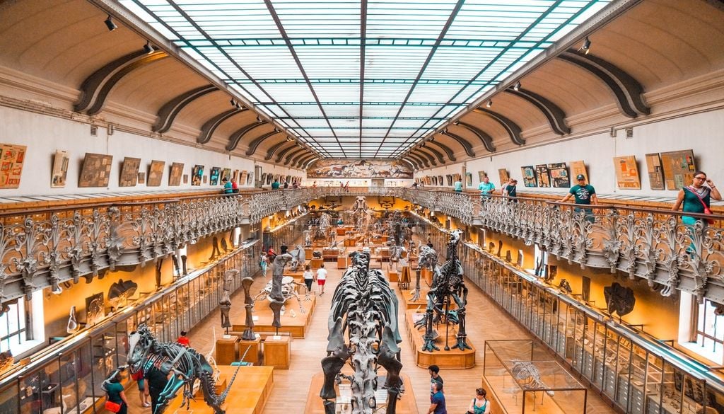 Pourrait-on vivre avec les dinosaures ?