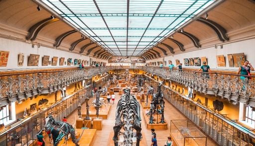 Faire revivre les esp&egrave;ces animales disparues, une qu&ecirc;te scientifique qui divise