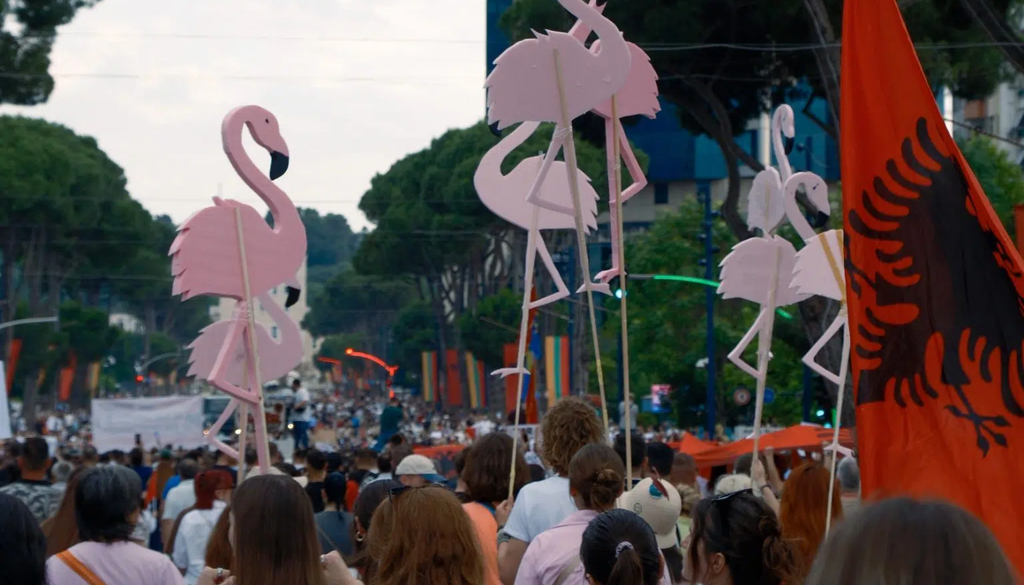 Albania; Vjosa Narta; especies; biodiversidad; turismo; riesgo; humedal; ecosistema Las protestas acumulan ya más de dos semanas consecutivas de movilizaciones diarias en Albania. Imagen tomada de BirdLife International.