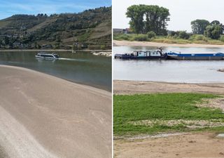 Rhein bei Kaub rutscht unter kritische Marke – was jetzt passiert, trifft nicht nur Schiffe, sondern ganz Deutschland