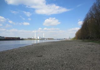 Rhein im Hitzestress: Wassertemperatur könnte um 4,2 °C bis zum Ende des Jahrhunderts ansteigen