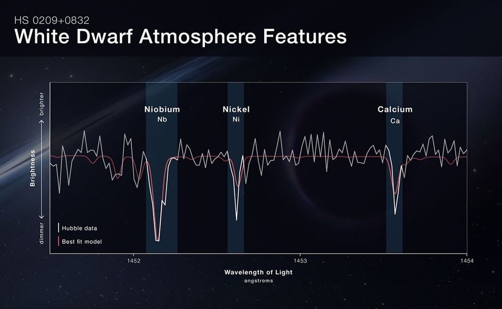 Spettro Una porzione dello spettro della nana bianca HS 0209+0832 osservato da Hubble. Le caratteristiche di assorbimento evidenziano la presenza di niobio, nichel e calcio; il niobio costituisce uno degli indizi principali dell'origine di seconda generazione del materiale. Credit: NASA, ESA, Leah Hustak (STScI).