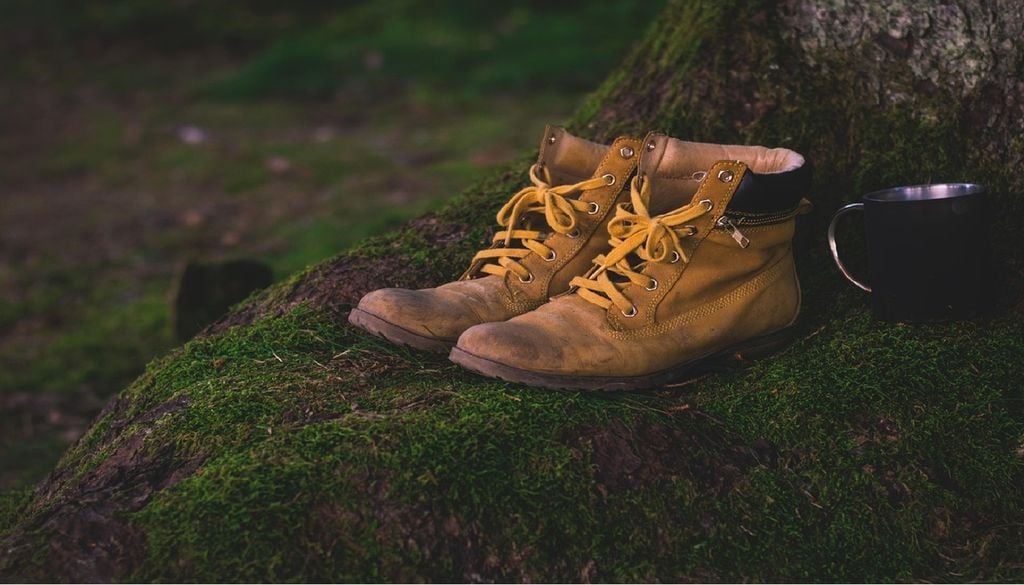 O Discovery Ribatejo – Festival de Caminhadas pretende dar a conhecer o melhor da natureza, património e cultura da região. Foto: Pixabay