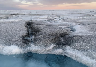 Unos científicos han descubierto virus gigantes en Groenlandia: ¿podrían ayudar a combatir el derretimiento del hielo?