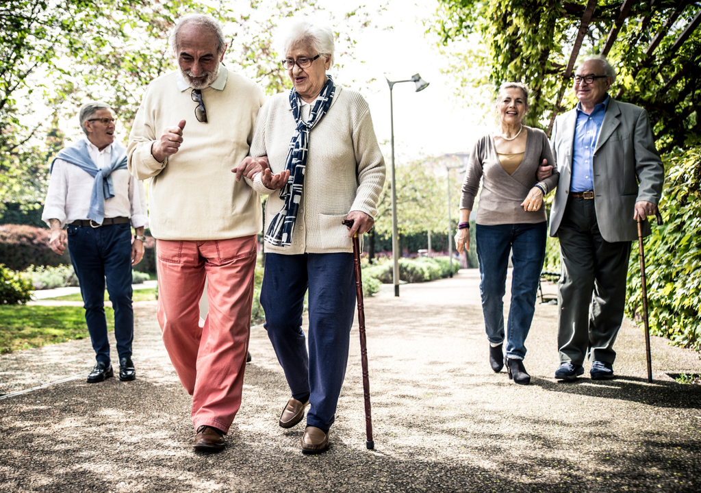 Comida chatarra y daño cognitivo, Chile, Meteored Comida chatarra y daño cognitivo, Chile, Meteored
