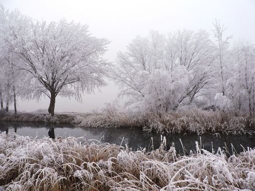 Riesgo de hielo: la madrugada de A&ntilde;o Nuevo ser&aacute; heladora con hasta 20 capitales que bajar&aacute;n de los 0 &ordm;C