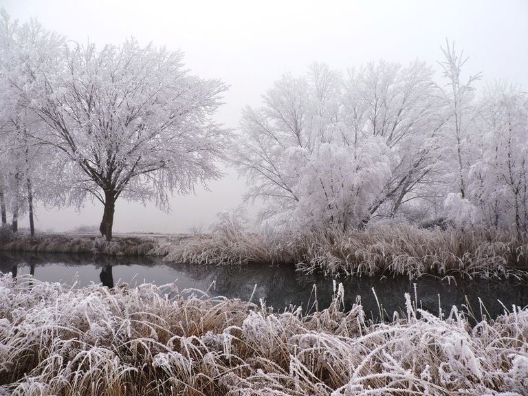 Riesgo de hielo: la madrugada de A&ntilde;o Nuevo ser&aacute; heladora con hasta 20 capitales que bajar&aacute;n de los 0 &ordm;C