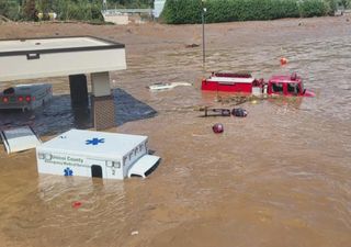 Rinoceronte gris: un estudio señala al cambio climático como factor clave en la catástrofe causada por el Huracán Helene