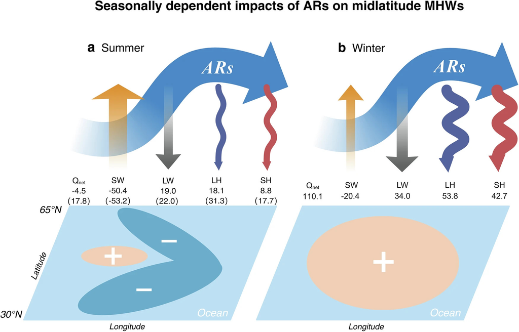 Se detectan huellas variables estacionales de AR en el desarrollo de MHW en el Pacífico Norte y el Atlántico (30°–65°N). Los impactos de AR en la temperatura oceánica subyacente exhiben un patrón en forma de herradura en el verano boreal ( a ) y un patrón de toda la cuenca ( b ) en el invierno boreal. La descomposición del flujo de calor superficial neto inducido por AR (Qnet). También se muestran las anomalías promediadas entre 30° y 65°N. SW, LW, LH y SH denotan la radiación de onda corta neta en la superficie, la radiación de onda larga neta en la superficie, el flujo de calor latente y el flujo de calor sensible, respectivamente. Véase el texto para más detalles. Véase el texto para más detalles sobre los componentes individuales del flujo de calor (W/m² ). En el panel ( a ), los valores dentro y fuera de los paréntesis corresponden a las regiones de tendencia de temperatura superficial del mar (TSM) negativa y positiva, respectivamente. Fuente: Suqiong Hu et al, Nature Communications (2026). DOI: 10.1038/s41467-026-74249-9