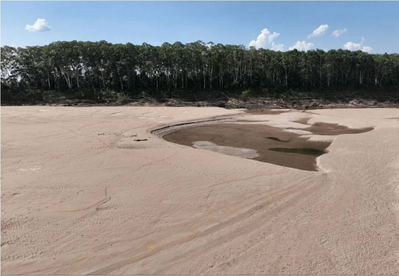 I Fiumi Dell Amazzonia Si Stanno Prosciugando E La Siccit Di Quest