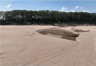 Los ríos se secan en Amazonas y la sequía de este año podría batir nuevos récords, el aviso de los geólogos brasileños