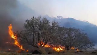 Com tempo seco e queimadas, risco de inc&ecirc;ndios atinge n&iacute;vel extremo no interior de SP