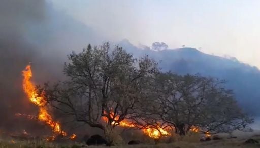 Com tempo seco e queimadas, risco de inc&ecirc;ndios atinge n&iacute;vel extremo no interior de SP