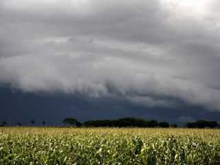 Risco de temporais na Região Sul e muito calor no restante do Brasil