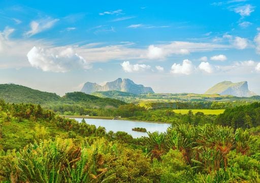 Ritorno dall&rsquo;orlo dell&rsquo;estinzione: avvistato l&rsquo;ultimo erede del dodo