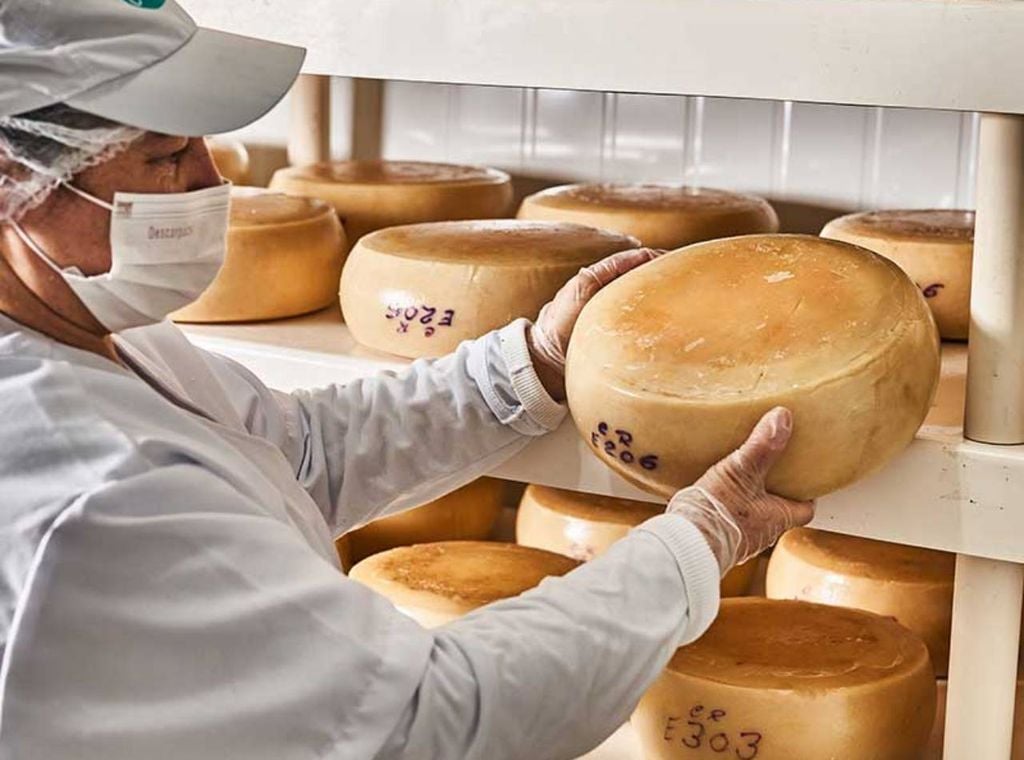 Processo de fabricação de queijos na fazenda Capriana, em Sapucaia (RJ), uma das propriedades participantes da nova rota. Crédito: Divulgação.