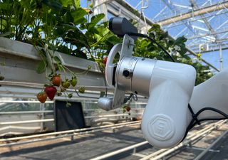 ¿Que se espera para el futuro de la agricultura? Los robots agricultores van en aumento