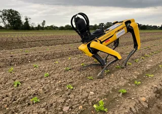 ¿El futuro de la agricultura? Aumentan los agricultores robotizados 