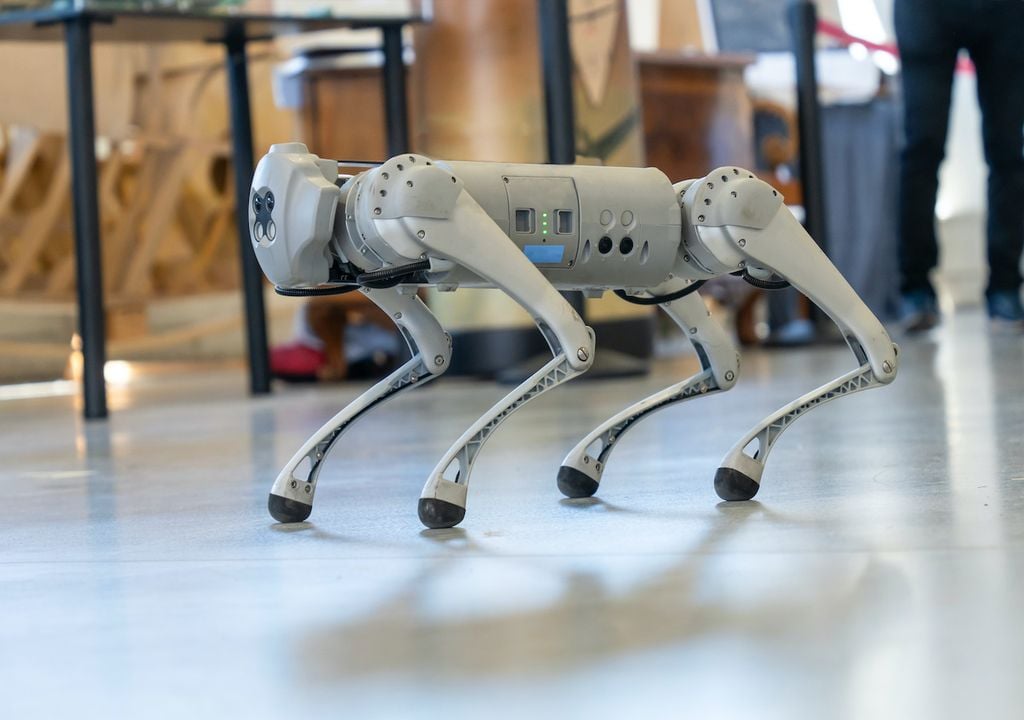 Robot dog at a demonstration.