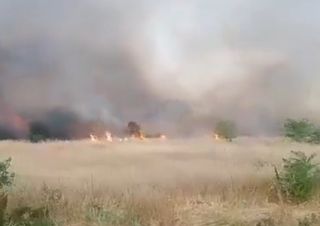 Pomeriggio di caldo record al Centro, vasto incendio a Roma: video