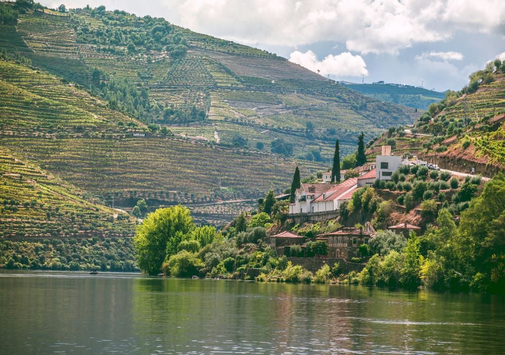 Vale do Douro Vale do Douro
