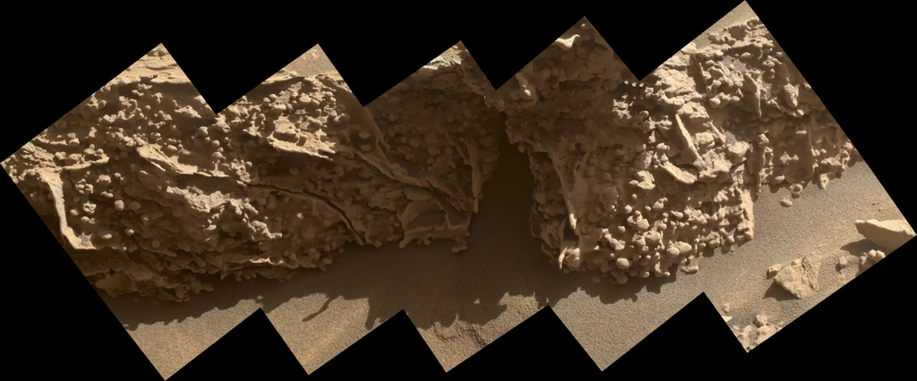 Estos nódulos irregulares se formaron a partir de minerales que quedaron tras el secado de las aguas subterráneas en Marte hace miles de millones de años. El rover Curiosity de la NASA capturó imágenes de estas formaciones del tamaño de un guisante mientras exploraba formaciones geológicas llamadas "boxwork" el 21 de agosto de 2025. Crédito: NASA/JPL-Caltech/MSSS