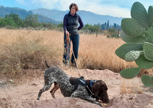 Roy, el perro &ldquo;cient&iacute;fico&rdquo; que ayuda a salvar una especie protegida y a identificar una peligrosa enfermedad
