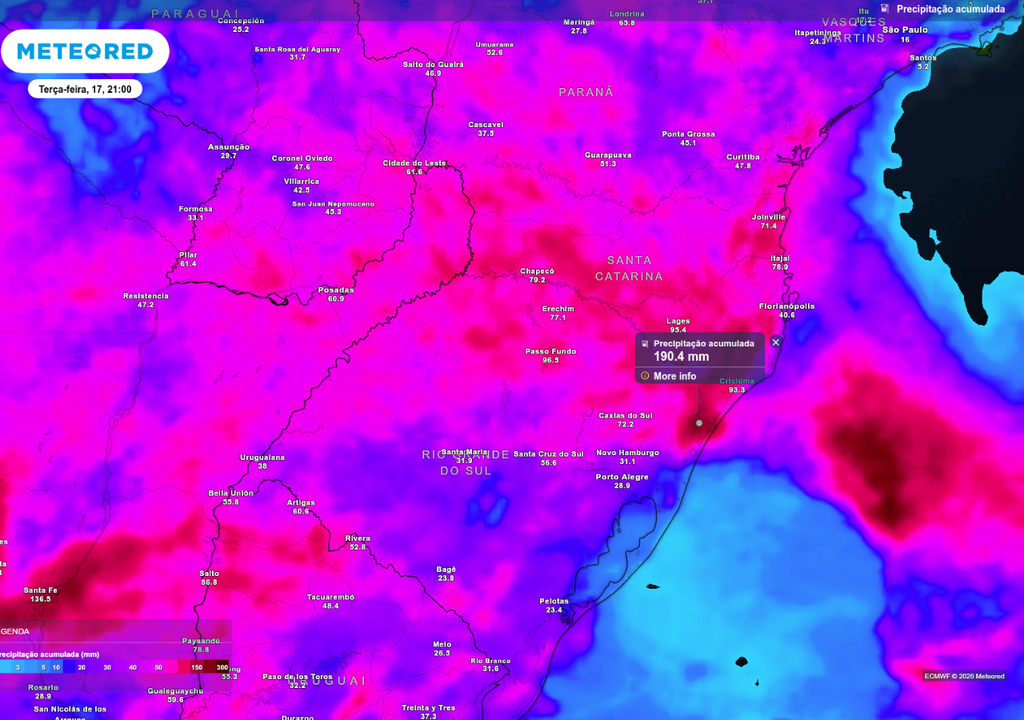 Previsão de chuva acumulada até terça-feira (17), segundo o ECMWF.