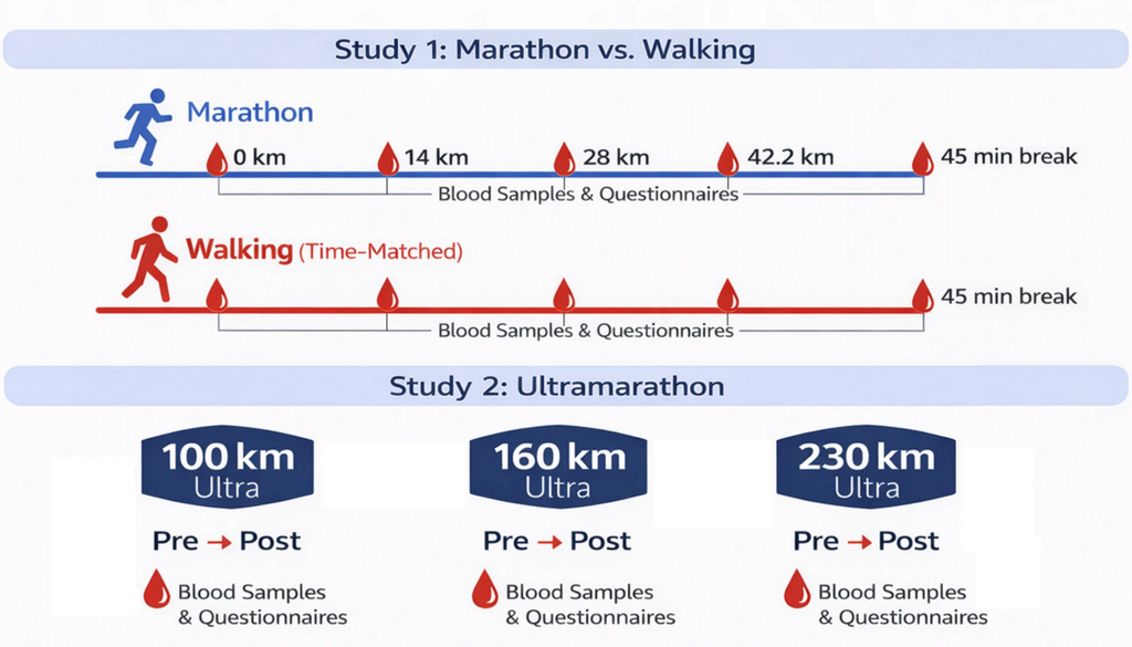 Forschungsdesign der Messungen beim Marathon und Ultramarathon. Forschungsdesign der Messungen beim Marathon und Ultramarathon. Bild: Siebers et al., 2026