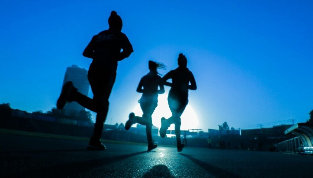 Die Botenstoffe, die beim Runner’s High ausgeschüttet werden, setzen an dieselben Rezeptoren an wie Cannabis – daher auch die Bezeichnung Endocannabinoide. Die Botenstoffe, die beim Runner’s High ausgeschüttet werden, setzen an dieselben Rezeptoren an wie Cannabis – daher auch die Bezeichnung Endocannabinoide. Bild: Fitsum Admasu/Unsplash