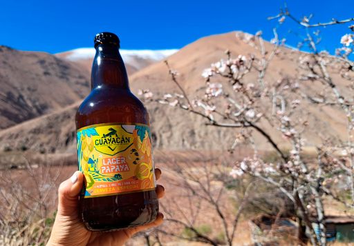 Ruta cervecera en el Valle de Elqui: conoce tres cervecerías artesanales y sus sabores únicos