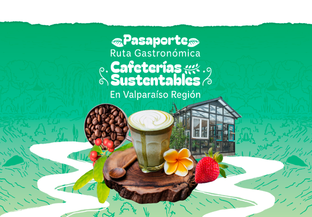 Las cafeterías destacadas en esta versión de la Ruta, están ubicadas en localidades como Quillota, Olmué, Concón, Valpara��so y Algarrobo.