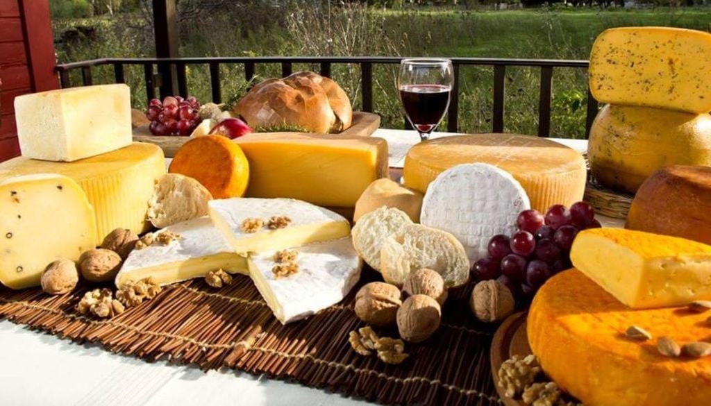 Ruta del Queso: un proyecto turístico para mostrar la producción artesanal de quesos en Suipacha. Ruta del Queso: un proyecto turístico para mostrar la producción artesanal de quesos en Suipacha.