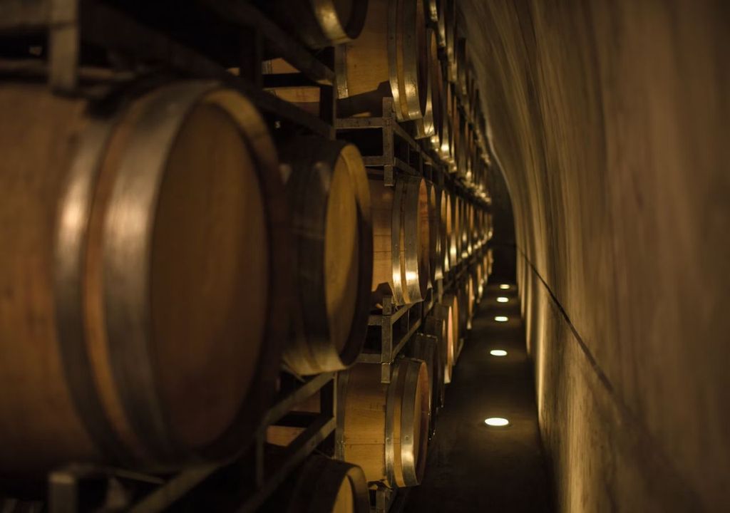 ruta del vino en Mendoza Argentina ruta del vino en Mendoza Argentina