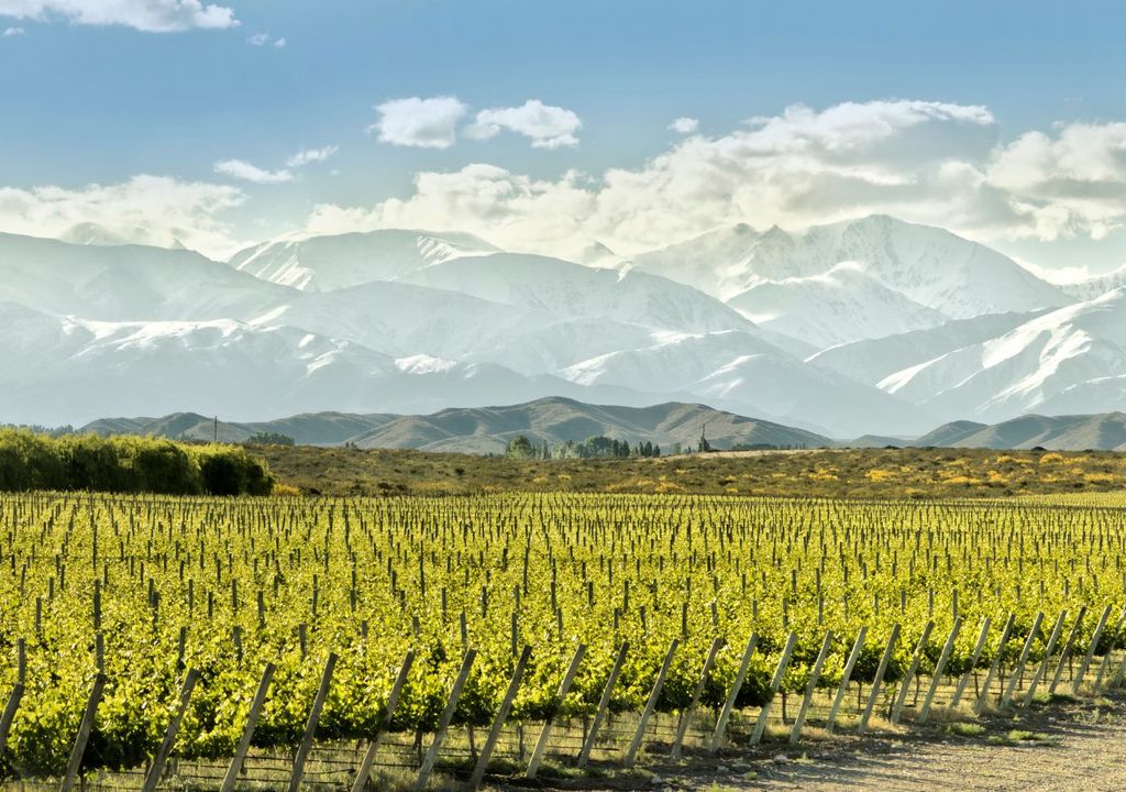 ruta del vino en Mendoza Argentina