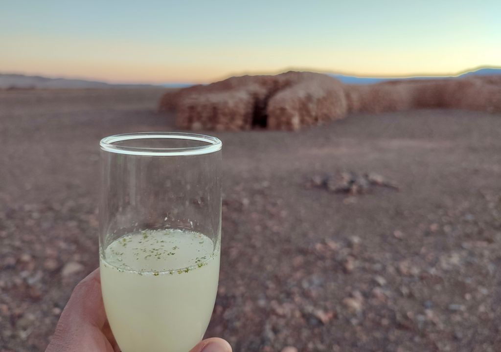 Pisco sour con rica-rica en San Pedro de Atacama. Pisco sour con rica-rica en San Pedro de Atacama.