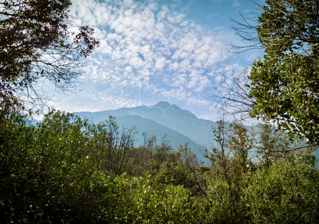 Parque Natural Quebrada de Macul. Parque Natural Quebrada de Macul.