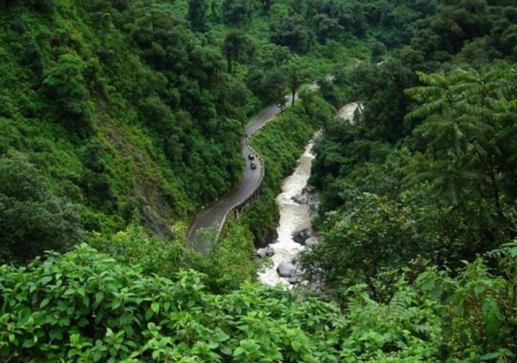 Selva de Yungas
