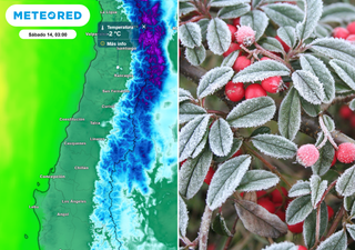 Viernes y sábado con un drástico cambio en las temperaturas: tendrán riesgo de heladas estas regiones