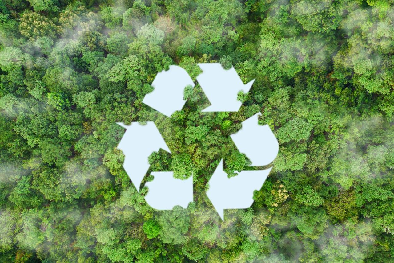 A digitalização está a desempenhar um papel crucial na aceleração da economia circular, permitindo otimizar processos, aumentar a eficiência e promover a rastreabilidade de materiais e produtos.