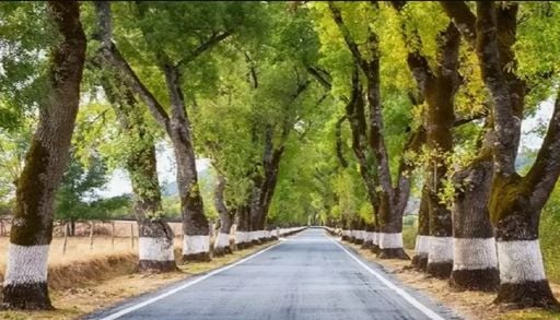 Sabe qual &eacute; a estrada mais bonita de Portugal?