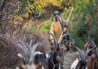 Sabe quantos habitantes tem a aldeia mais remota do distrito do Porto?