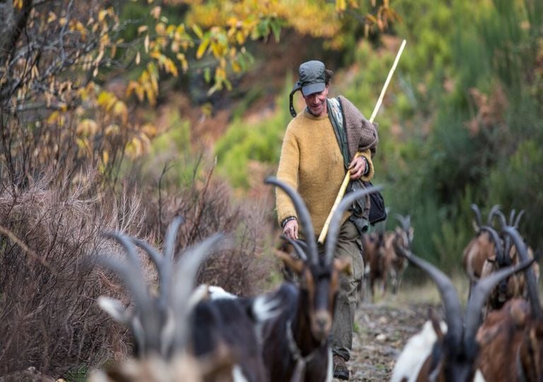 Sabe quantos habitantes tem a aldeia mais remota do distrito do Porto?