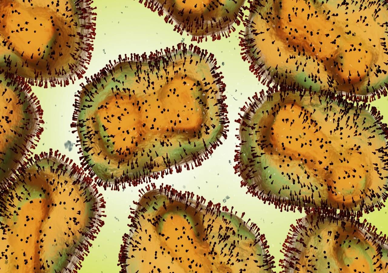 Zoonoses são doenças infecciosas capazes de ser naturalmente transmitidas entre outros animais e seres humanos.