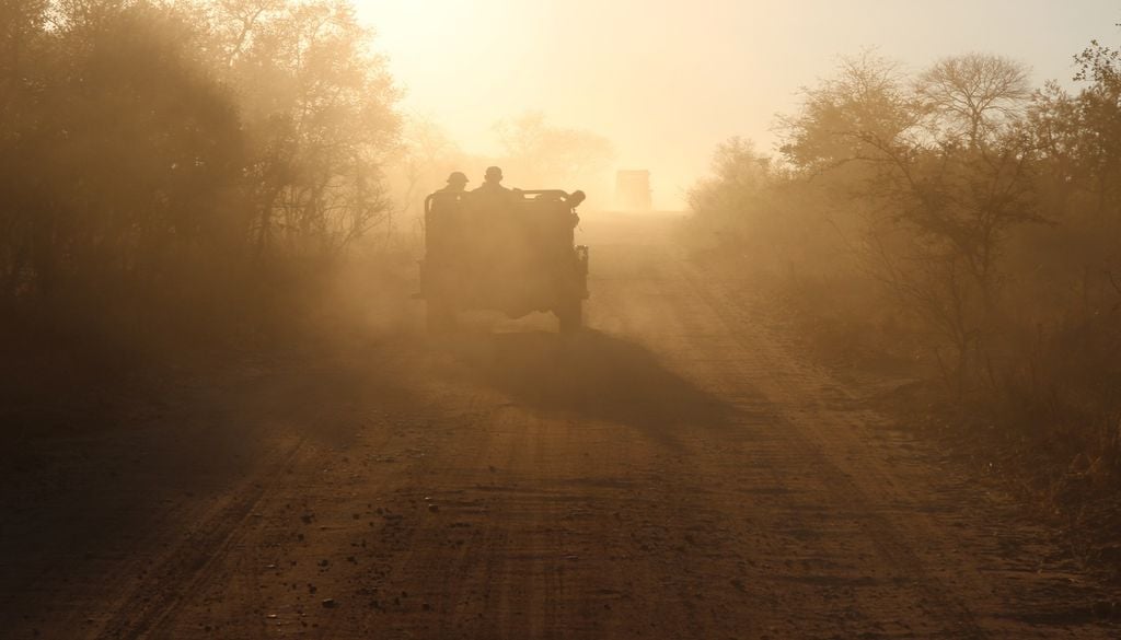 Des voitures électriques pour ces nouveaux safaris ? Des voitures électriques pour ces nouveaux safaris ?