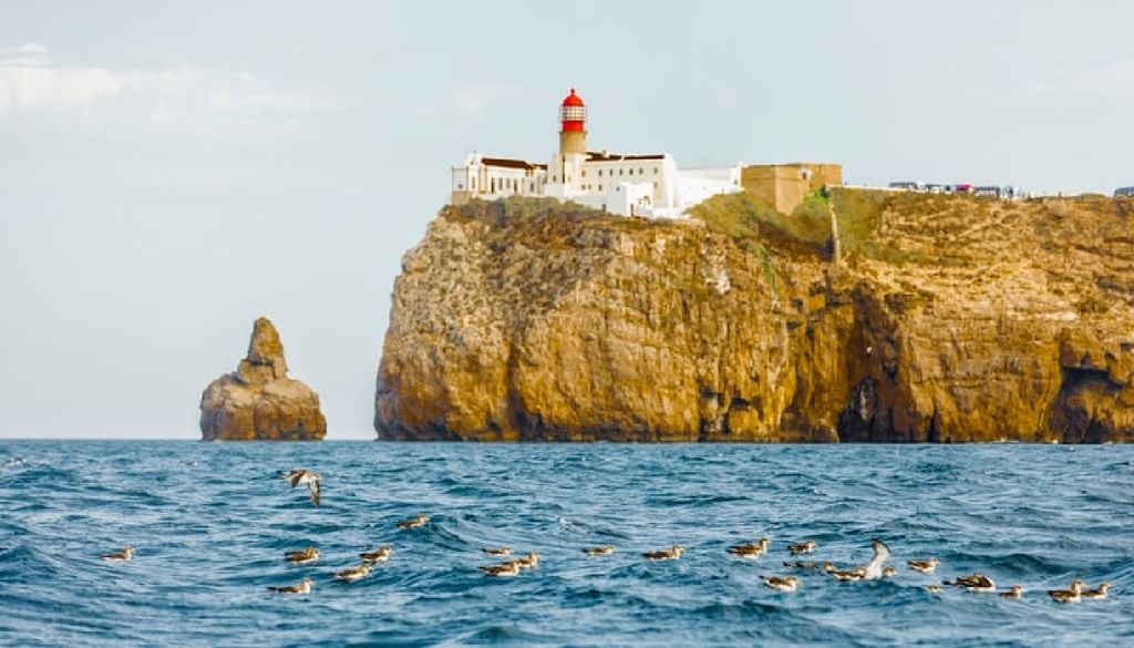Sagres, Algarve Sagres ocupa uma posição singular para observar as aves que, durante a migração outonal, atravessam a região algarvia antes de prosseguirem viagem para África. Foto: Município de Vila do Bispo
