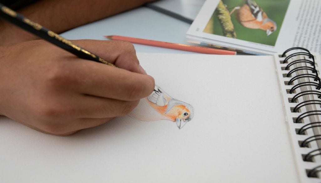 Desenho e ilustração da natureza Workshops de ilustração da natureza estão presentes em todas as edições do festival. Foto: Município de Vila do Bispo