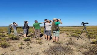 Sagres troca o ver&atilde;o pela migra&ccedil;&atilde;o das aves e afirma o Algarve como destino de natureza
