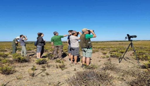 Sagres troca o ver&atilde;o pela migra&ccedil;&atilde;o das aves e afirma o Algarve como destino de natureza