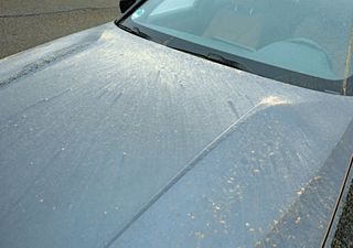 Düstere Sahara-Staubwolke überrollt Deutschland: Blutregen möglich!